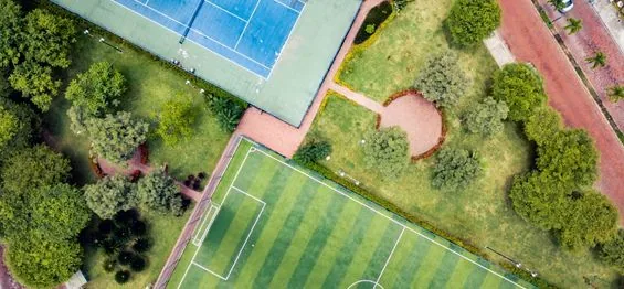 Understanding Tennis Ladder Leagues: How to Climb to the Top