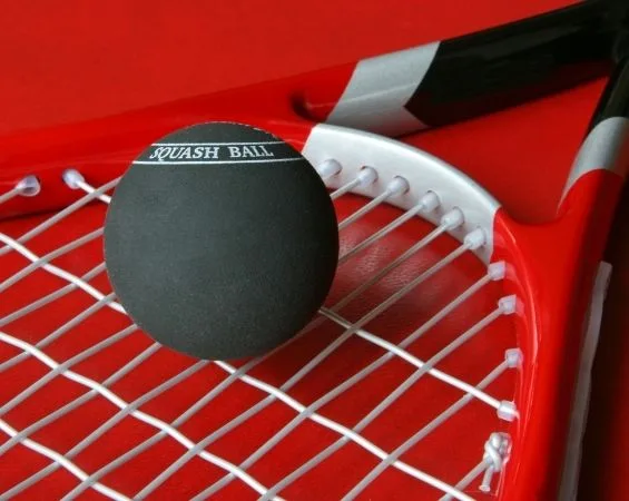Squash for Beginners: Your Complete Guide to Getting Started and Succeeding